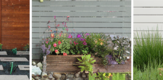 15 Charming Garden Fence Ideas