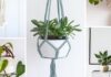 15 Hanging Planter Ideas for Your Home