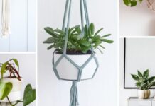 15 Hanging Planter Ideas for Your Home