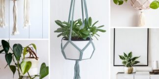 15 Hanging Planter Ideas for Your Home