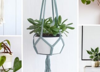 15 Hanging Planter Ideas for Your Home