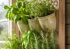 15 Indoor Vertical Herb Garden Ideas