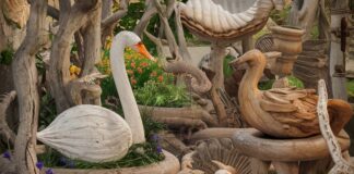 20 Coastal Garden Ideas